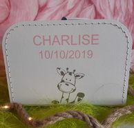 Geboortekoffertje Charlise