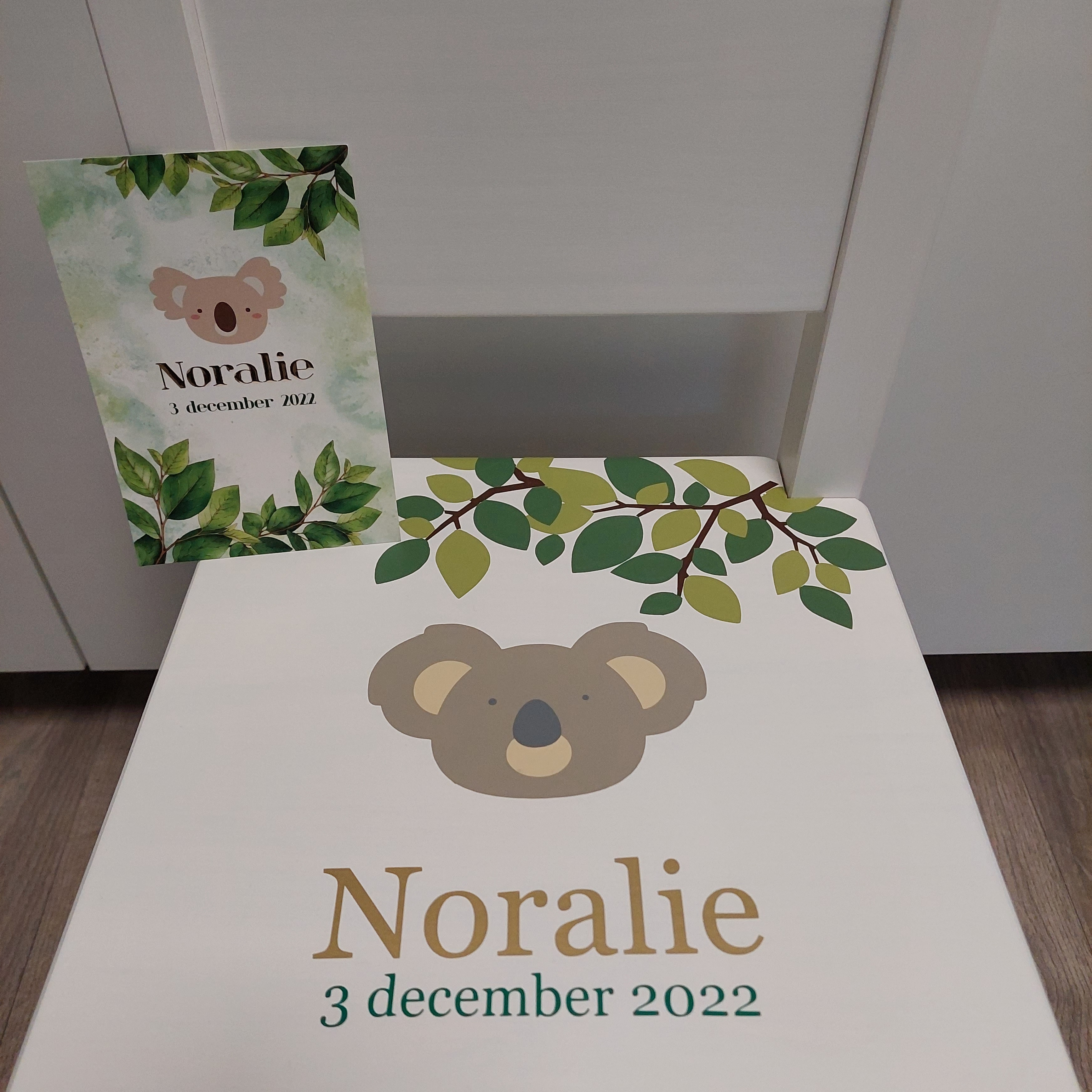 geboortestoeltje Noralie