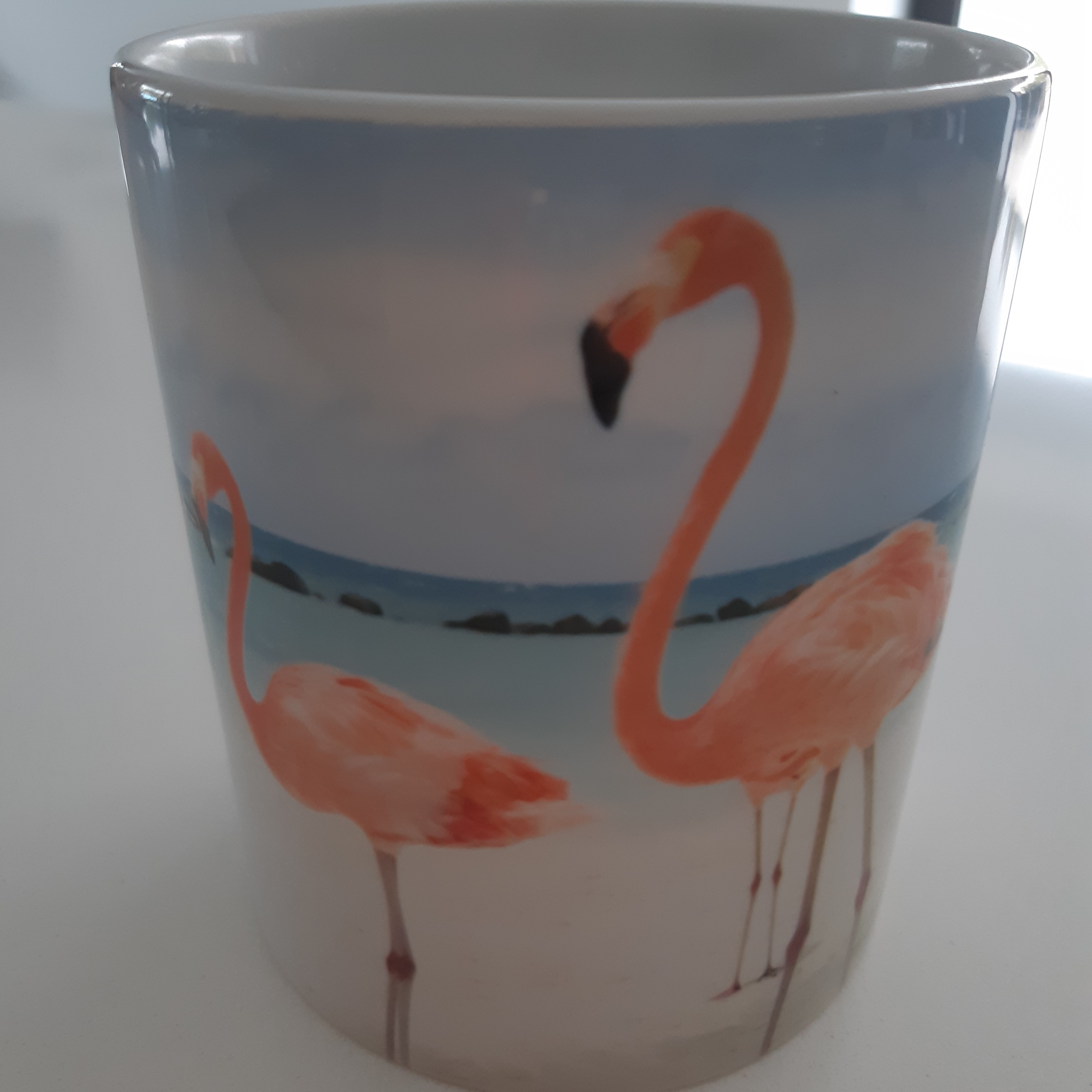 Flamingo